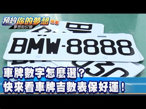 易經車牌號碼|數字易經車牌號碼解析指南